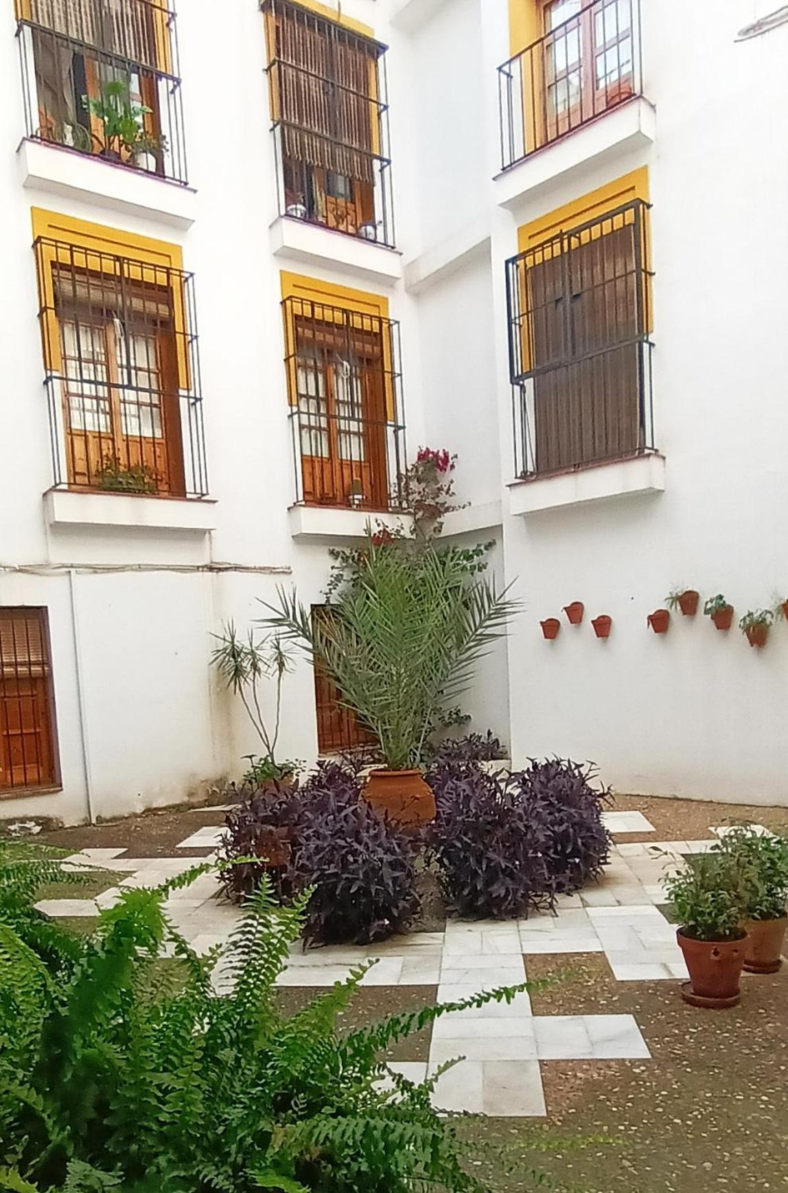 Historia Y Tradicion - Sevilla Desde Dentro. Extérieur photo